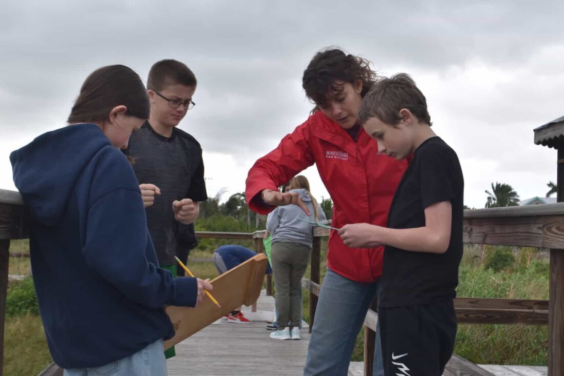 Sanibel Sea School brings marine science to life